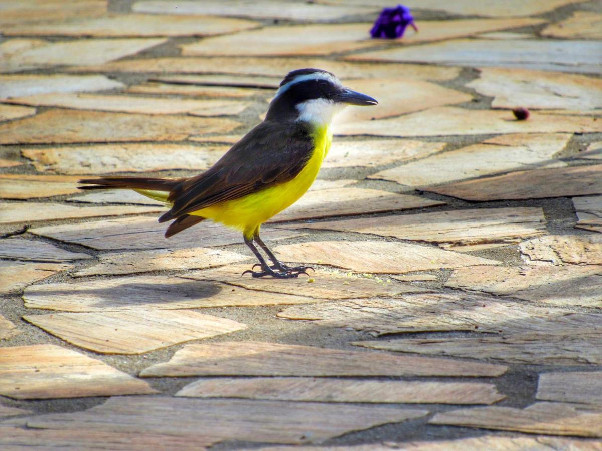 Pousada Mandalla Serra do Cipo National Park Exterior photo